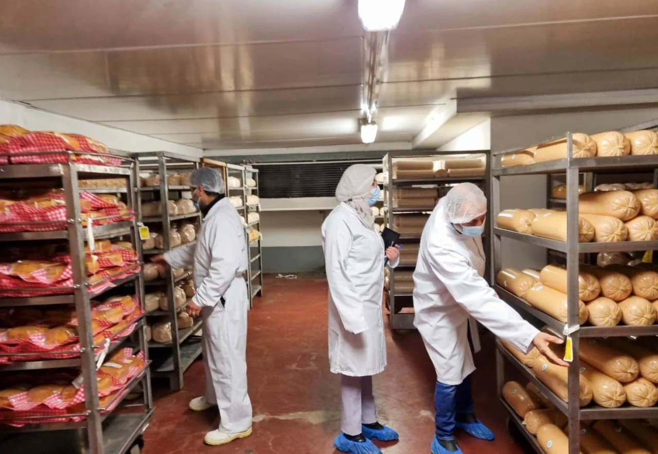 Scientific Methodologies 3