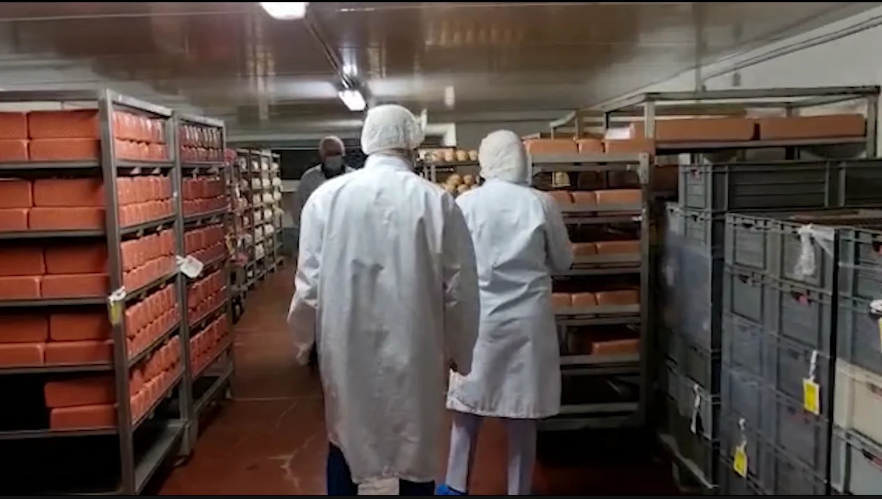 Scientific Methodologies 4